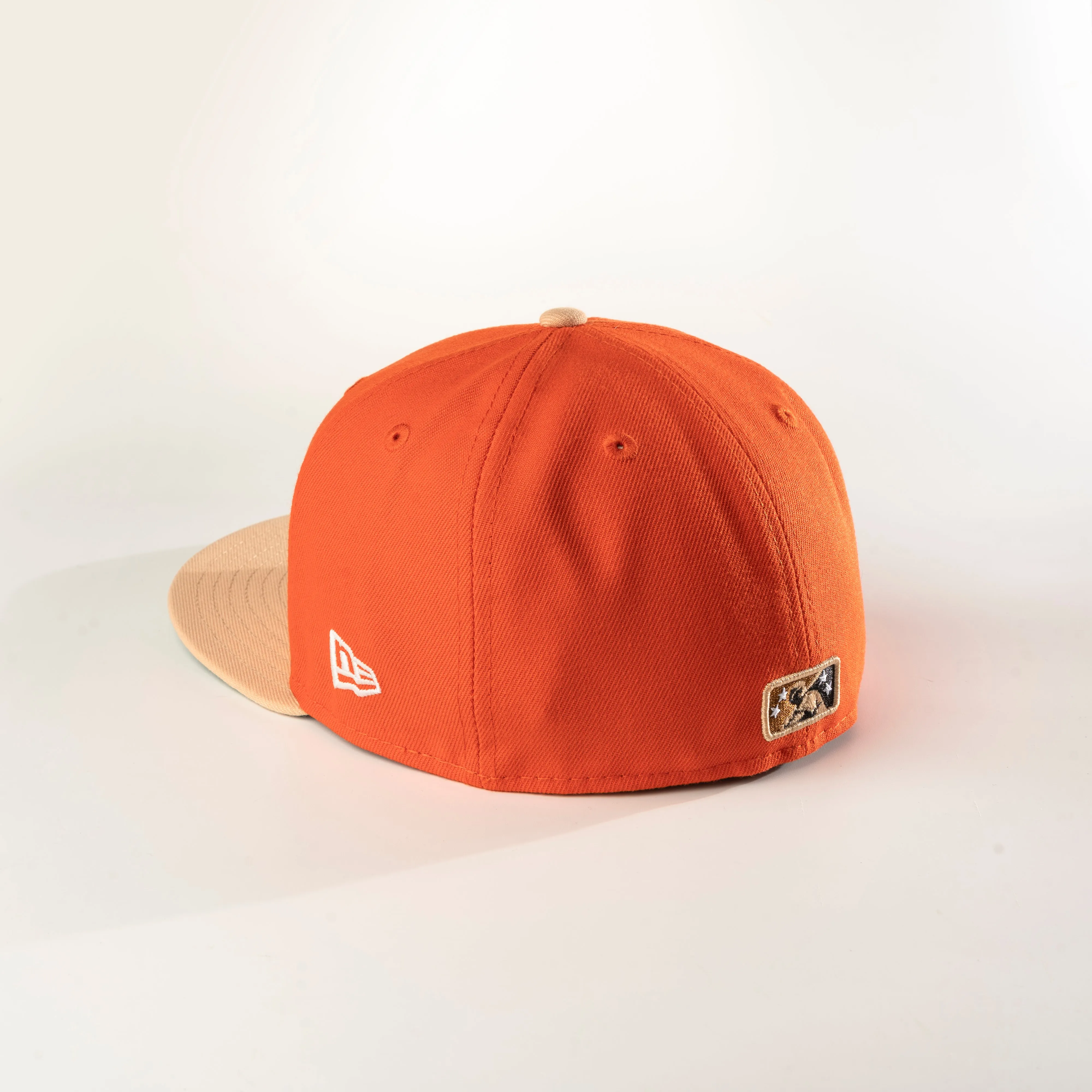 ASHEVILLE TOURISTS 59FIFTY FITTED HAT