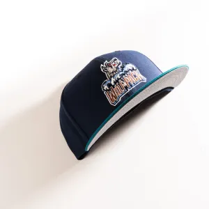 HARTFORD WOLF PACK 59FIFTY FITTED HAT