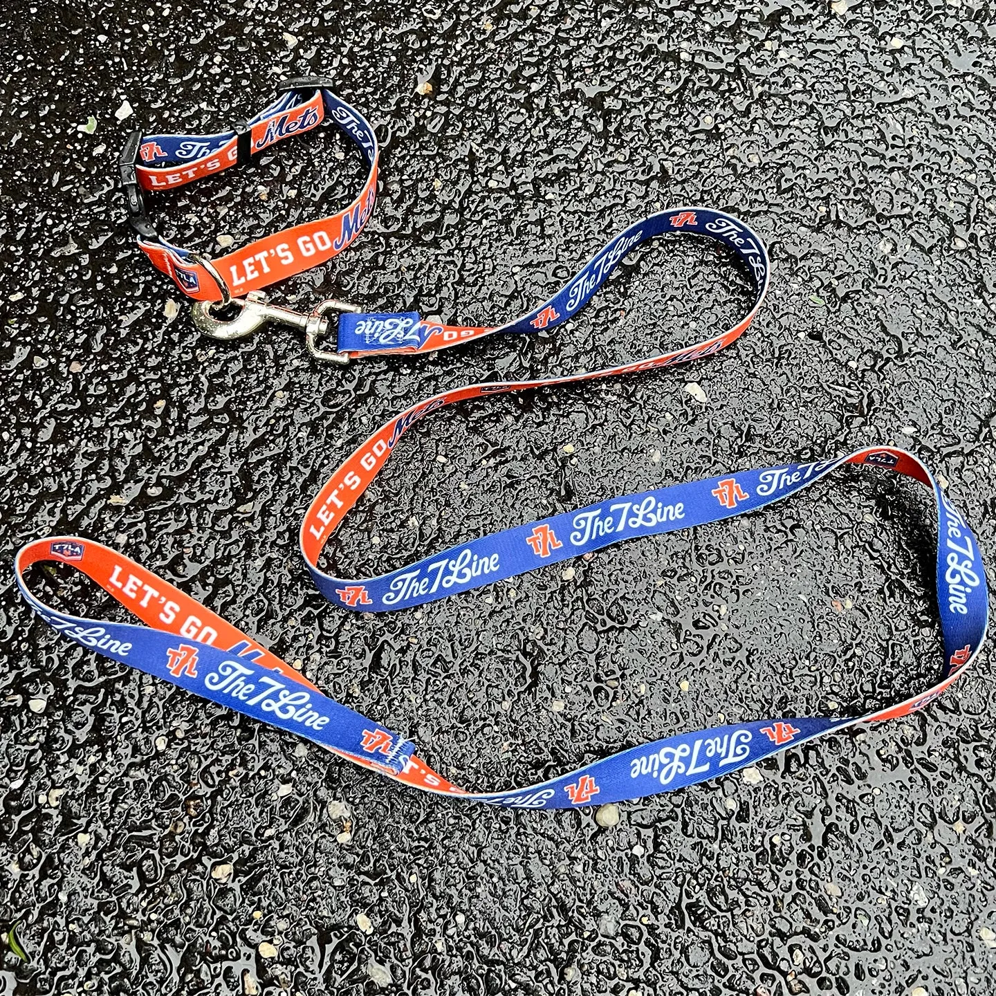 Let's Go Mets Dog Collar/Leash