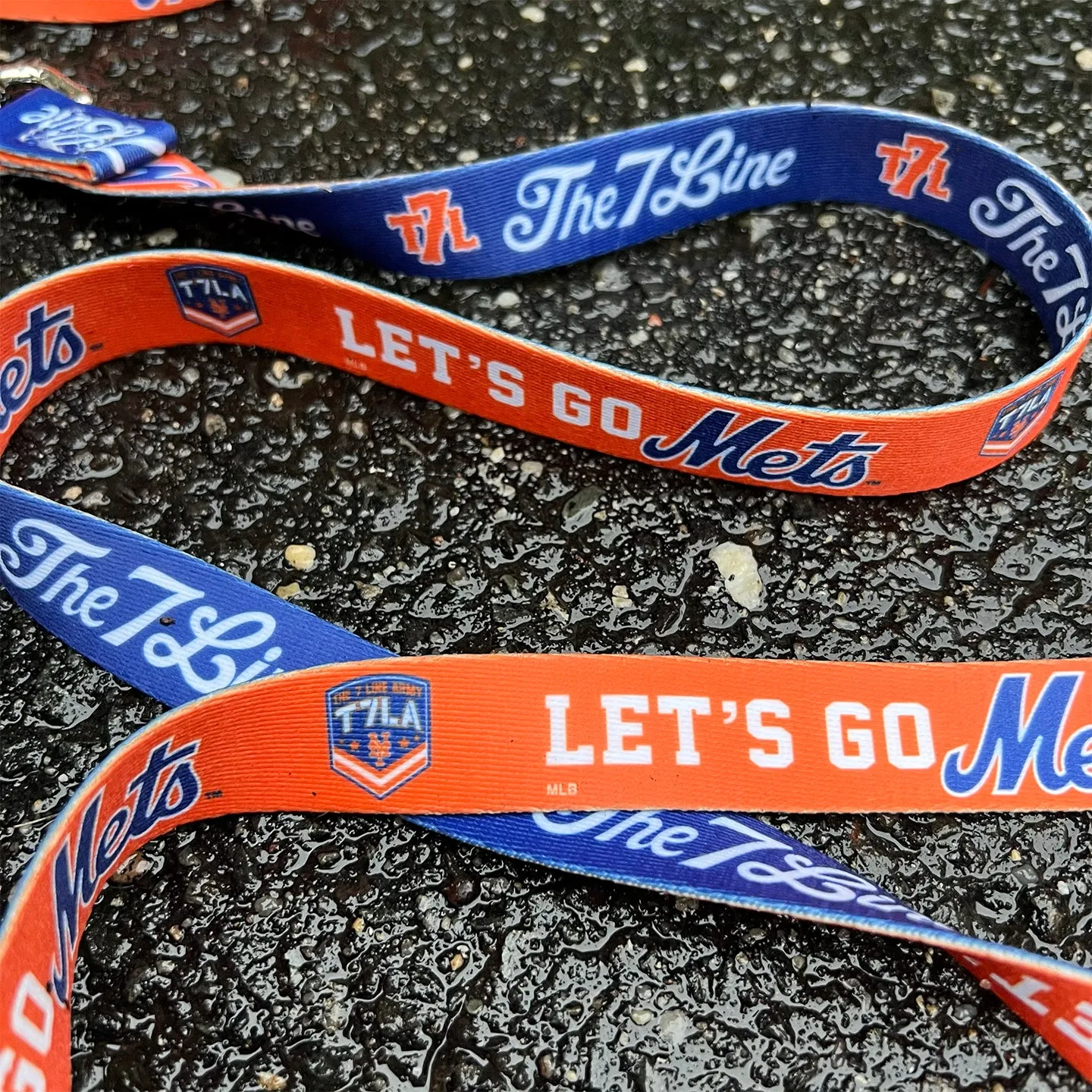 Let's Go Mets Dog Collar/Leash
