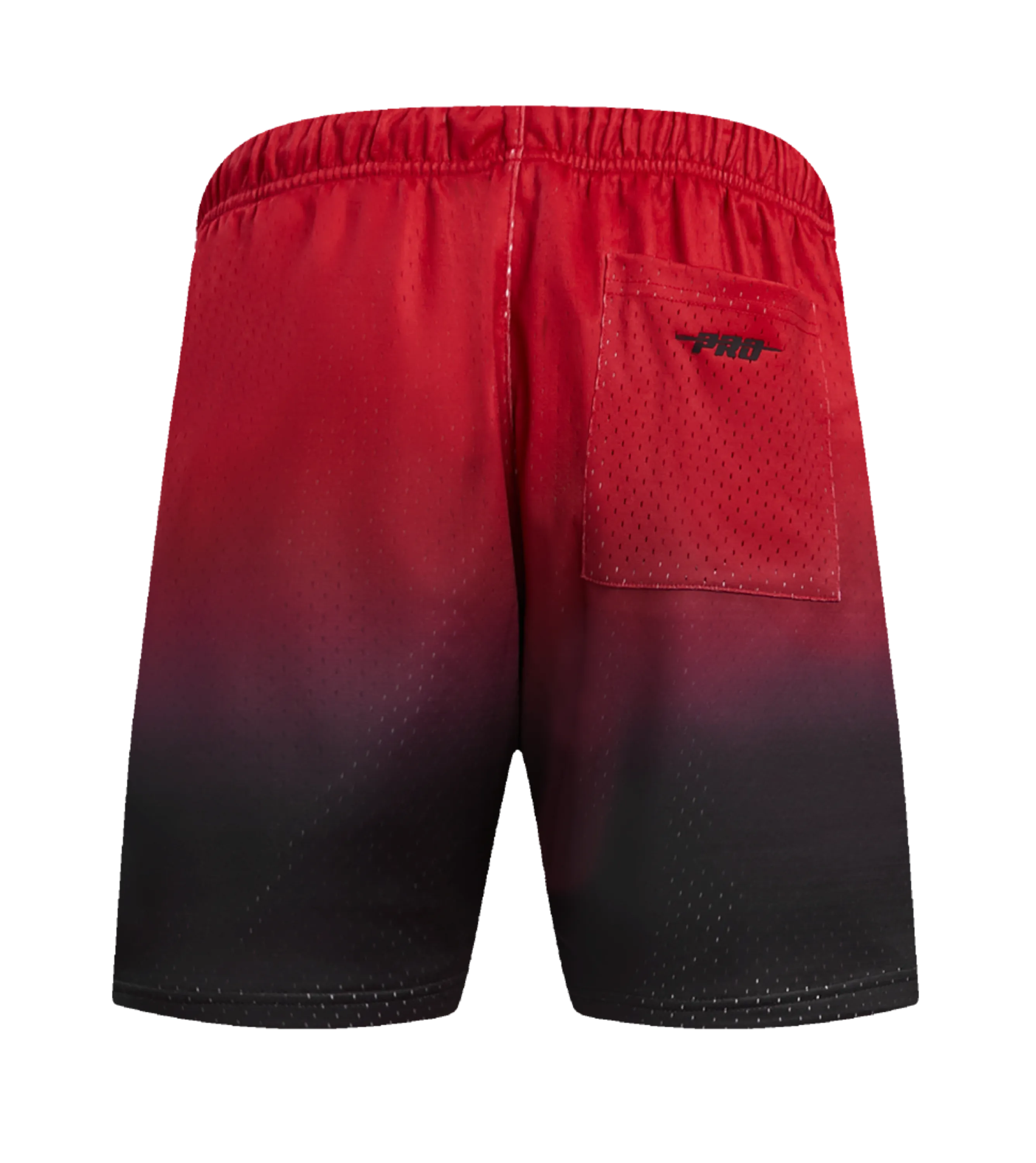 Pro Standard HEAT Culture Gradient Shorts