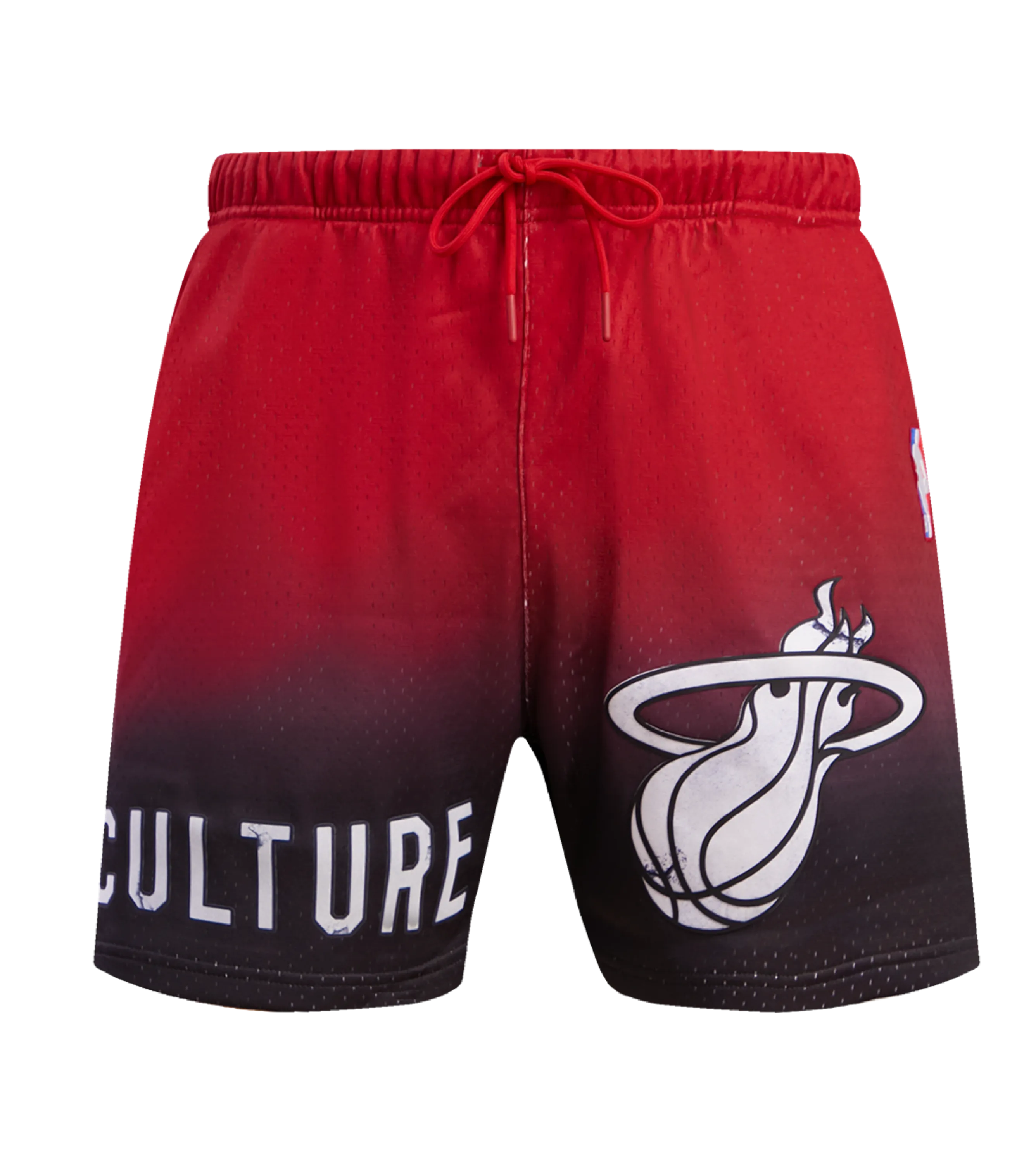 Pro Standard HEAT Culture Gradient Shorts