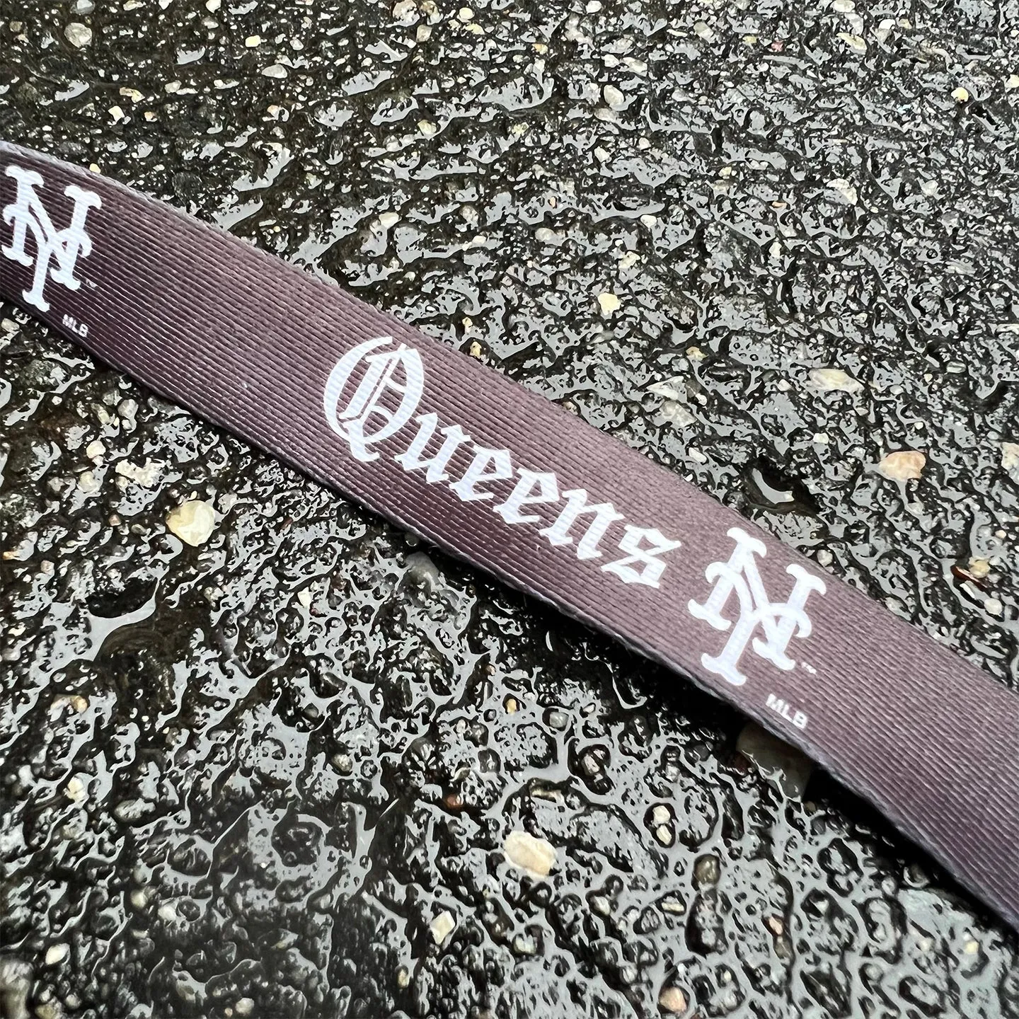 Straight Outta Queens Dog Collar/Leash