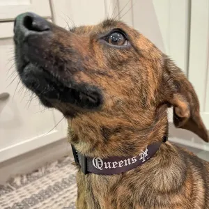 Straight Outta Queens Dog Collar/Leash